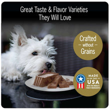 Cesar Steak Lovers Wet Dog Food Variety Pack, 3.5 Oz Trays (36 Pack)