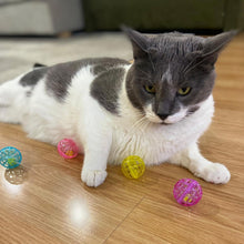 Lattice Balls with Jingle Bells for Cats, 4 Count