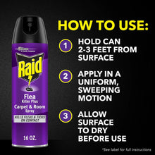 Raid Flea Killer Plus Carpet & Room Spray, Bug Spray Kills Fleas & Flea Eggs, 16 oz