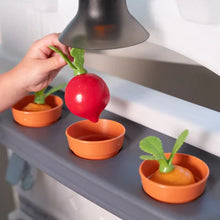Garden Fresh Kitchen