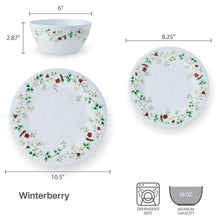 Pfaltzgraff Winterberry Melamine 24 Peice Set