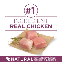 Purina ONE Plus Healthy Puppy Dry Dog Food, High Protein Growth Support with Real Chicken