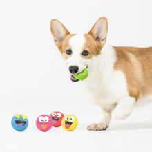 (2 pack) Vibrant Life Playful Buddy Dog Toys, Emoticon, Extra Small, 5 Count