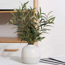 Better Homes & Gardens 14" Indoor Artificial Olive Plant in Two-Tone Ceramic Vase