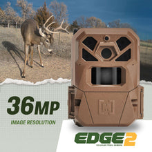 4b4588f0-d9fd-4865-b585-942267689b46-788564902553af3826bfd073aeee781c-_3 - USA Mega Market