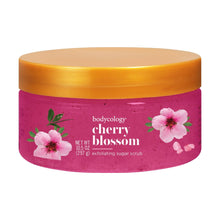 (4 pack) Bodycology Cherry Blossom Exfoliating Sugar Scrub 10.5 oz