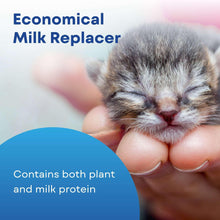 PetAg Milk Replacer Plus Liquid for Cats and Kittens, 32 fl oz