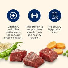 Nutrish Large Breed Real Beef, Pea, Carrot & Brown Rice Recipe Whole Health Blend Dry Dog Food, 14 lb. Bag (Rachael Ray)