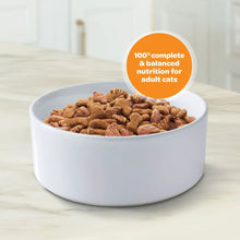 9Lives Daily Essentials Dry Cat Food