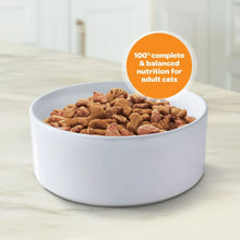 54b5d7cf-f031-4458-8d88-538721c4e5c2.ad01a9da0eaec340161c624583d84591 - USA Mega Market