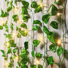BrightSide LED Cascading Curtain Vine Indoor Lights, Warm White, 3.5ft W x 5ft H