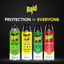 Raid Defense System Indoor and Outdoor Ants, Roaches, Spiders and Flies Insect Killer Bug Spray, 15 oz