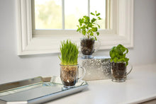 Anchor Hocking Clear Mug Set, 4 Piece