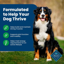 Blue Buffalo Life Protection Formula Adult Dry Dog Food, Lamb & Brown Rice