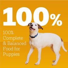 (6 pack) Pedigree Chopped Ground Dinner Wet Puppy Food With Chicken & Beef, 13.2 oz. Cans, 12 Count