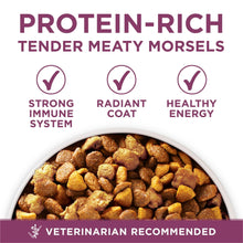 Purina ONE Plus Healthy Puppy Dry Dog Food, High Protein Growth Support with Real Chicken
