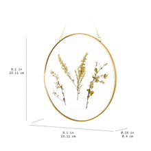 (3 pack) Mainstays Hanging Gold Circular Framed Glass Dried Pressed Floral Wall Decor, 9x9