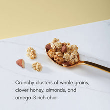 Nature's Path Organic Granola, Honey Almond, 11 oz Pouch