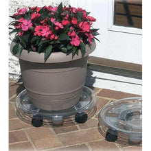 Style Selections 16-in L x 16-in D x 3.34-in H Clear Plant Caddy