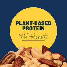 Salted Mixed Nuts, Party Snacks, Plant-Based Protein 10.3Oz (1 Canister) - Brands For Less USA