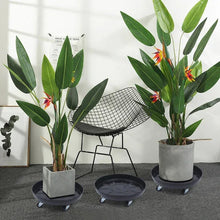 CNCEST 14.17-in L x 14.17-in D x 3.94-in H Black 3 Pieces Included Plant Caddy - USA MEGA SHOP