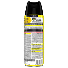 Raid Defense System Indoor and Outdoor Ants, Roaches, Spiders and Flies Insect Killer Bug Spray, 15 oz