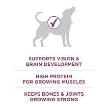 Purina ONE Plus Healthy Puppy Dry Dog Food, High Protein Growth Support with Real Chicken