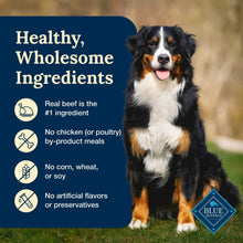 Blue Buffalo Delectables Natural Wet Dog Food Toppers, Hearty Beef, 3-oz Pouch