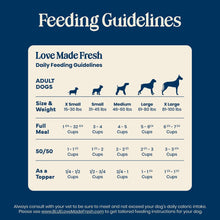 Blue Buffalo Love Made Fresh Dog Food, Refrigerated, Beef Meatball 1.5lb Pouch