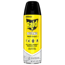 Raid Defense System Indoor and Outdoor Ants, Roaches, Spiders and Flies Insect Killer Bug Spray, 15 oz