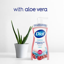 (6 pack) Dial Antibacterial Defense Power Berries Scent Foaming Hand Soap, 7.5 fl oz