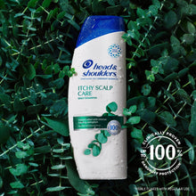 (6 pack) Head and Shoulders Dandruff Shampoo, Itchy Scalp Care, 12.5 fl oz