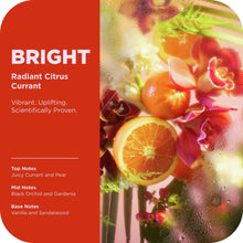 (6 pack) OLLY Bright Body Scrub Exfoliates & Repairs Skin Barrier Citrus Currant, 6 oz