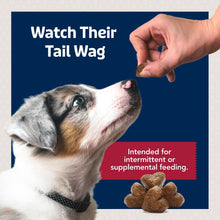Blue Buffalo Jumbo Bits Beef Recipe, Soft & Chewy Natural Dog Treats, 11 oz. Bag
