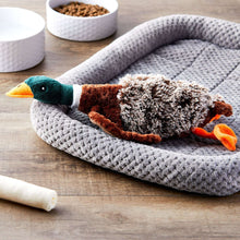 (3 pack) Vibrant Life Plush Duck Dog Toy with Honker