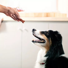 Milk-Bone Soft & Chewy Dog Treats - Beef & Filet Mignon with Chuck Roast, 37 oz.