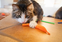 Vibrant Life 24 Piece Value Pack Cat Toys