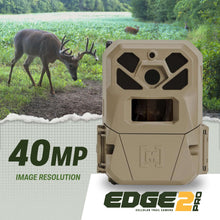 79d4b2dc-e95f-448f-bb2b-232d2c69f8ee-63a5f9e62e0d60a05168d97b016054a5-_4 - USA Mega Market