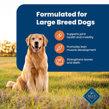 Blue Buffalo Life Protection Formula Large Breed Dry Dog Food, Chicken & Rice