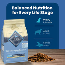 Blue Buffalo Life Protection Formula Puppy Dry Dog Food, Chicken & Brown Rice