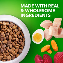 Iams Proactive Health Chicken Dry Dog Food For Puppies