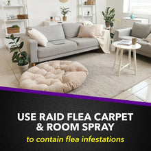 Raid Flea Killer Plus Carpet & Room Spray, Bug Spray Kills Fleas & Flea Eggs, 16 oz
