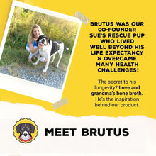 Brutus Bone Broth Probiotic Meal Toppers for Dogs Mega Pack (Pork) - Pet Food Topper - Bone Broth Powder Fortified - Pet Safe Human Grade Dog Food Topper - Makes Up to 130 Liquid Oz