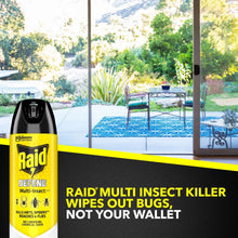 Raid Defense System Indoor and Outdoor Ants, Roaches, Spiders and Flies Insect Killer Bug Spray, 15 oz