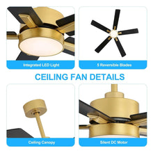 ALKAFY 52 inch Gold & Black LED Ceiling Fan with Remote - Adjustable Reversible Motor for Bedroom Living Room