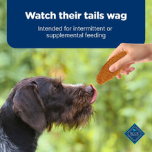 Blue Buffalo Nudges Jerky Cuts Dog Treats, Chicken