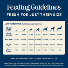 Blue Buffalo Love Made Fresh Dog Food, Refrigerated, Chunky Beef Stew, 1-lb Tub