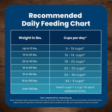 Blue Buffalo Life Protection Formula Natural Dry Dog Food, Beef & Brown Rice, 15-lb. Bag