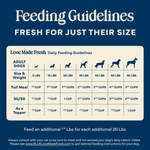 Blue Buffalo Love Made Fresh Dog Food, Refrigerated, Chunky Chicken Stew, 1-lb Tub