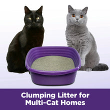ARM & HAMMER Clump & Seal SLIDE Cat Litter, Easy Clean-up Multi-Cat Clumping Litter, 38 lbs